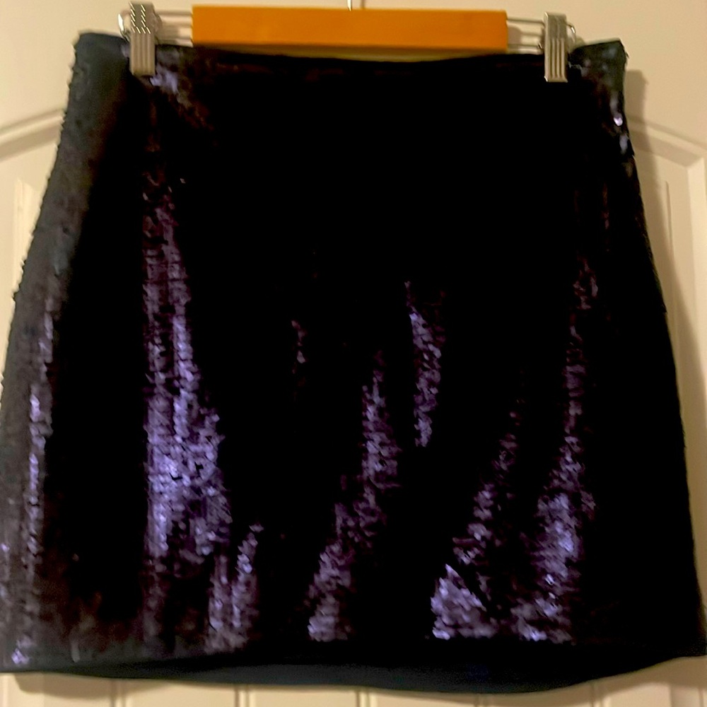 Sequin Skirt